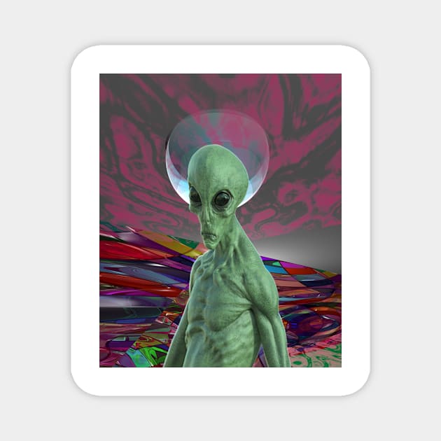Alien Sunset Magnet by icarusismartdesigns