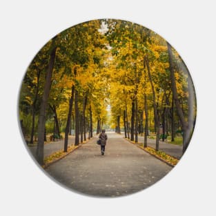 a walk in the autumn park Pin