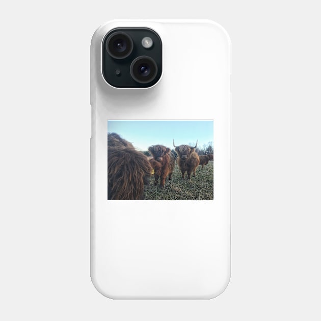 Scottish Highland Cattle Calves 1851 Phone Case by SaarelaHighland