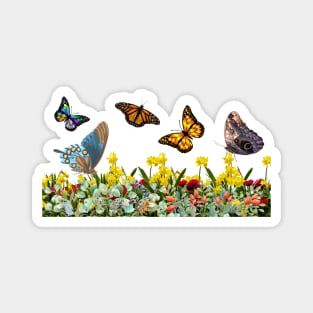 Butterfly Flower Garden With Tulips, Rose Buds, and Daisies Magnet