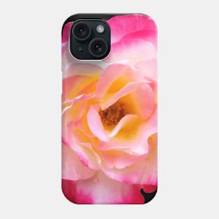 Pink and White Rose in Outdoor Garden Phone Case