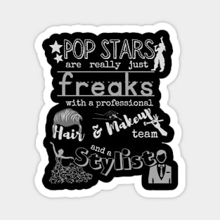 Truth about Pop Stars Magnet