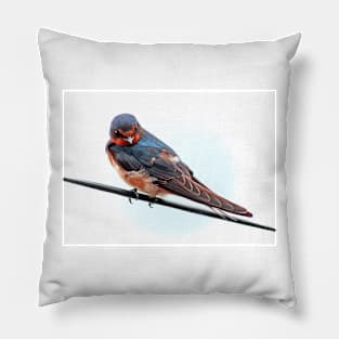 A Swallow Pillow