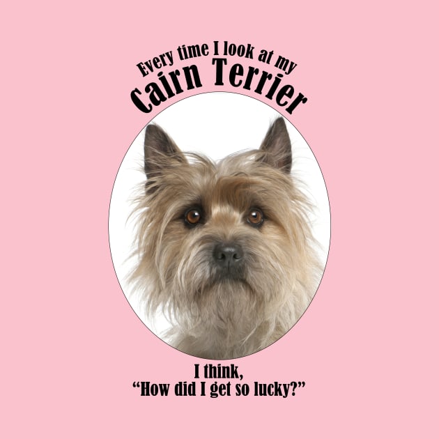 Lucky Cairn Terrier by You Had Me At Woof