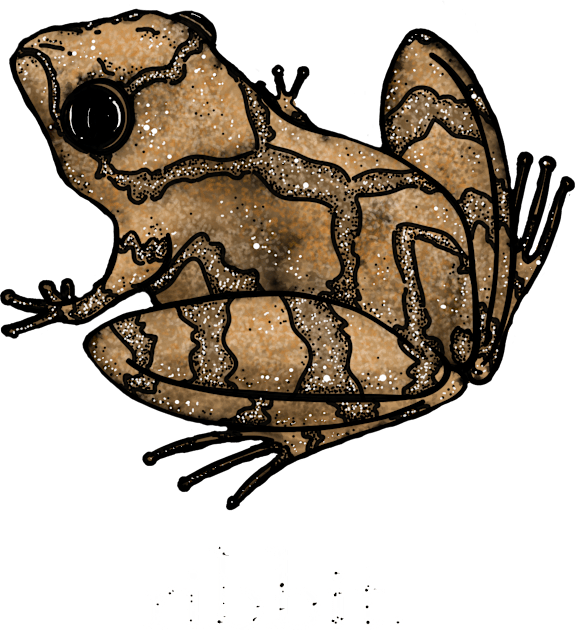 Ribbit Kids T-Shirt by BCGotschall