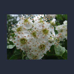 Beautiful flowers after rain T-Shirt