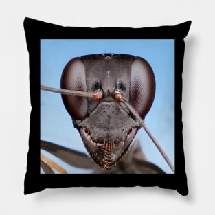 Ant - Gigantiops destructor Pillow