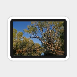 Billabong morning light - Junction Creek Magnet