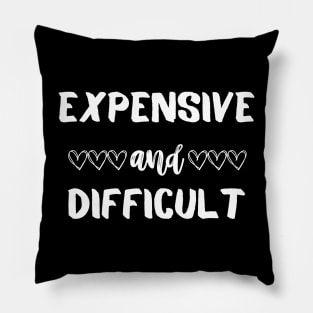 Expensive and Difficult Pillow