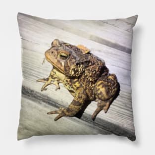 Toad Interrupted Pillow