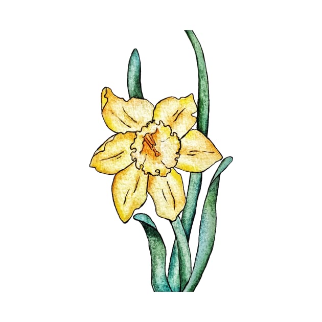 watercolor drawing of daffodil by Art by Taya 