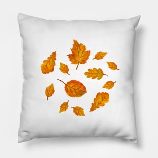 Autumn leaves Illustration Pillow