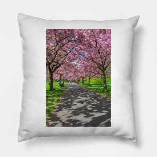 Cherry blossom in Greenwich Park in London Pillow