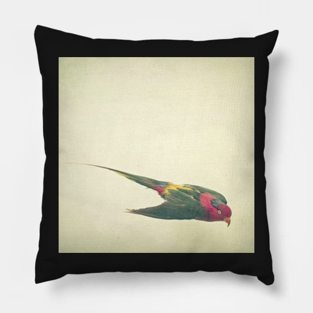 Bird Study #4 Pillow by Cassia