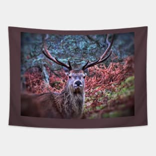 Deer Portrait Tapestry