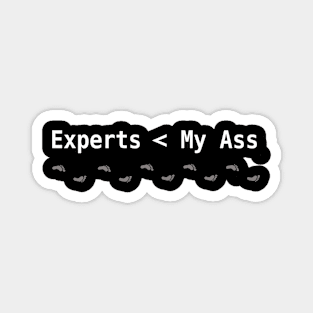 Experts Magnet