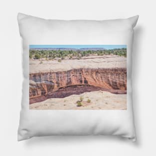 850_7091 Pillow