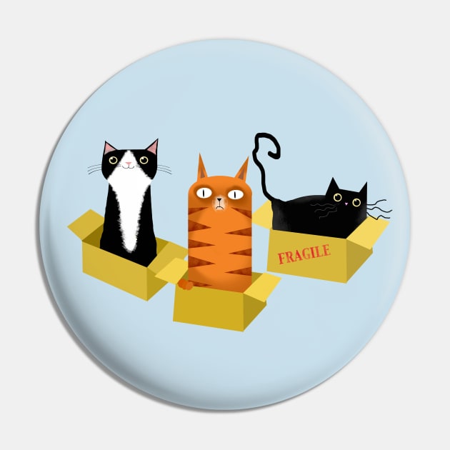 Cats in Boxes Pin by Scratch