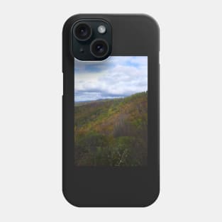 Shenandoah National Park in Fall Phone Case