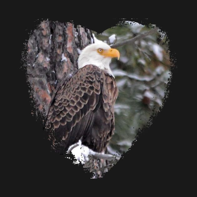 American Bald Eagle by Whisperingpeaks