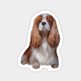 Drawing Dog Cavalier King Charles Spaniel Magnet