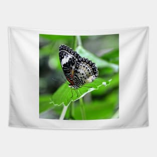 Black and White Butterfly Tapestry