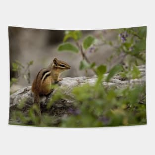 Chipmunk Tapestry