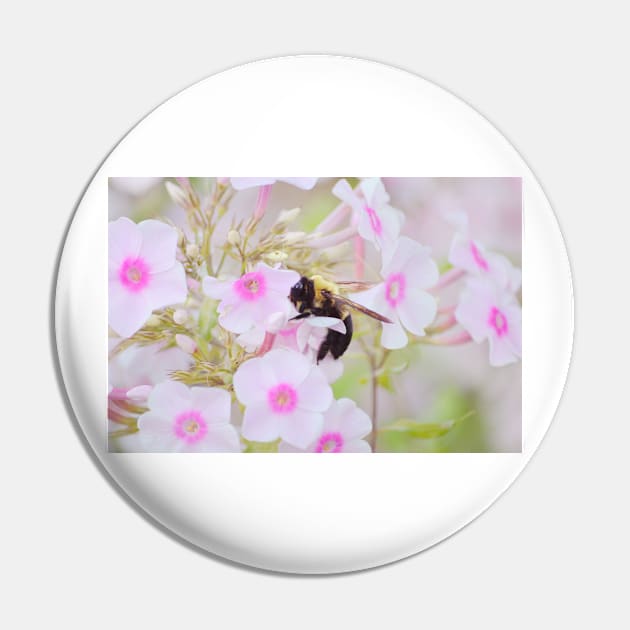 Bumblebee & Phlox Pin by LaurieMinor