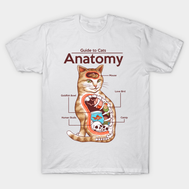Anatomy Of A Cat Cats T Shirt Teepublic
