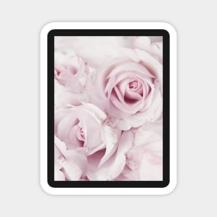 Flowers print, Roses, Pastel, Fashion print, Scandinavian art, Modern art, Wall art, Print, Minimalistic, Modern Magnet