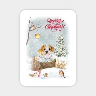 English Bulldog Puppy Merry Christmas Santa Dog Magnet