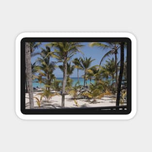 Palms on the Beach Magnet