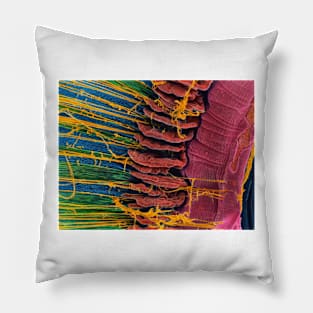 Iris of the eye, SEM (P424/0106) Pillow