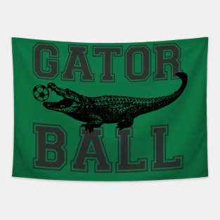 Gatorball Sport Tapestry