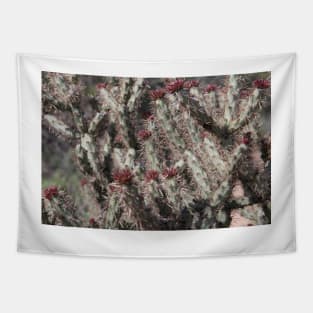 Staghorn Cholla Tapestry