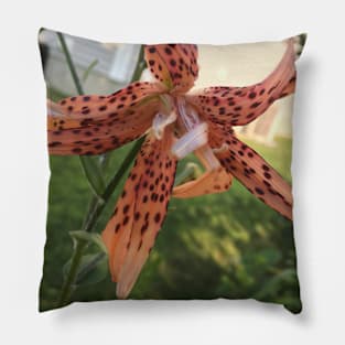 Weird Lily Pillow