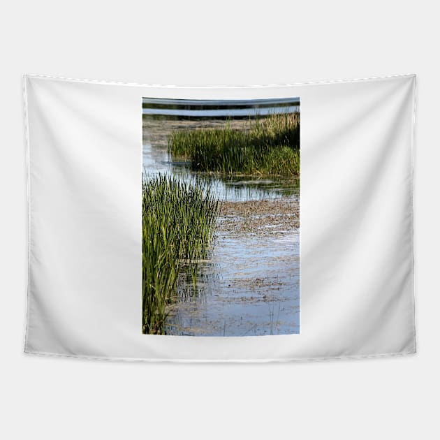 Serpentine Marsh Tapestry by photoclique