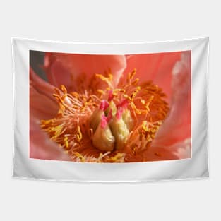 Peony ,petals , flowers, flora, peony Tapestry