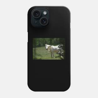 Wild Horse Phone Case