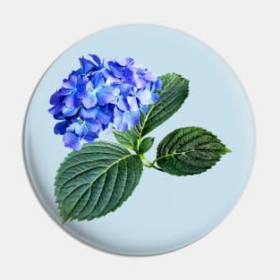 Hydrangeas - Dark Blue Hydrangea with Leaves Pin