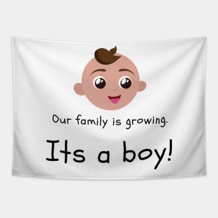 Love this 'Our family is growing. Its a boy' t-shirt! Tapestry