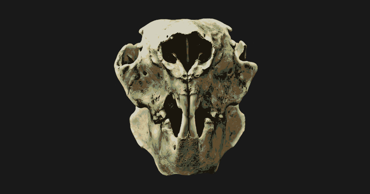 rabbit skull by diehard1175 rabbit skull