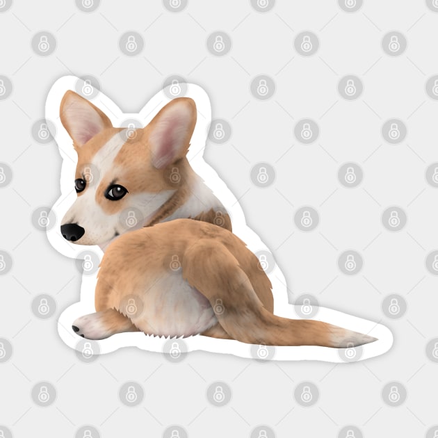 Pembroke Welsh Corgi Magnet by CleanRain3675