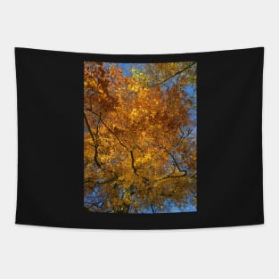 Autumn Tapestry