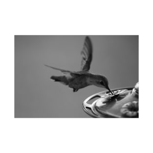 Hummingbird at Feeder Black and White 3 or 3 T-Shirt