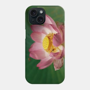 Sacred Lotus Phone Case