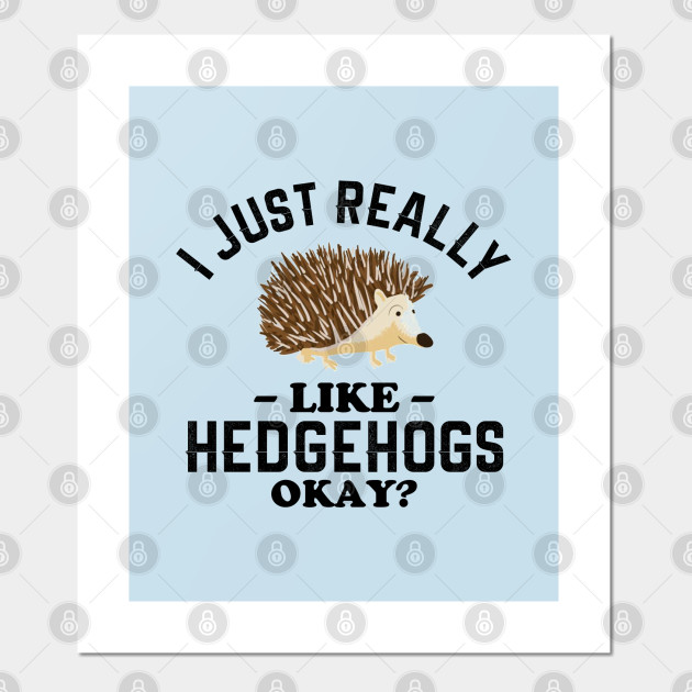 I Just Really Like Hedgehogs Hedgehog Lover Posters And Art Prints Teepublic