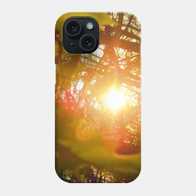 Sunset through the leaves Phone Case by kcrystalfriend