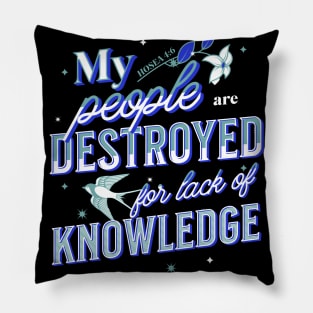 My people are destroyed for lack of knowledge. (Hosea 4:6) Pillow