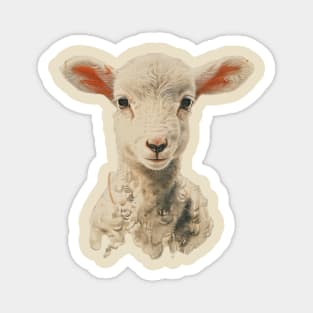 Lamb Magnet